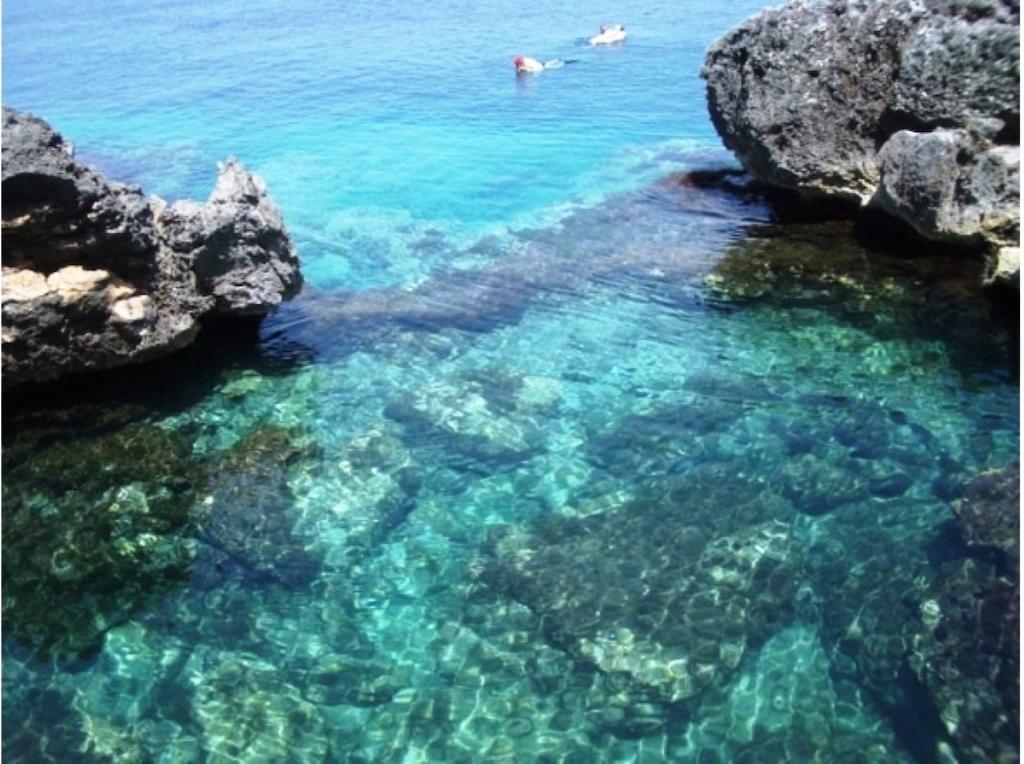 Agriturismo Le Fornelle Tricase Værelse billede